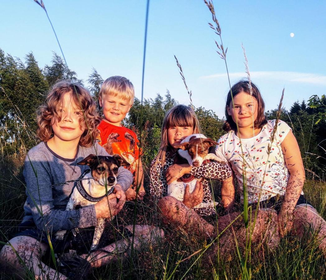 Broesarp Kaellagarden Stora Gardslaegenheten 外观 照片