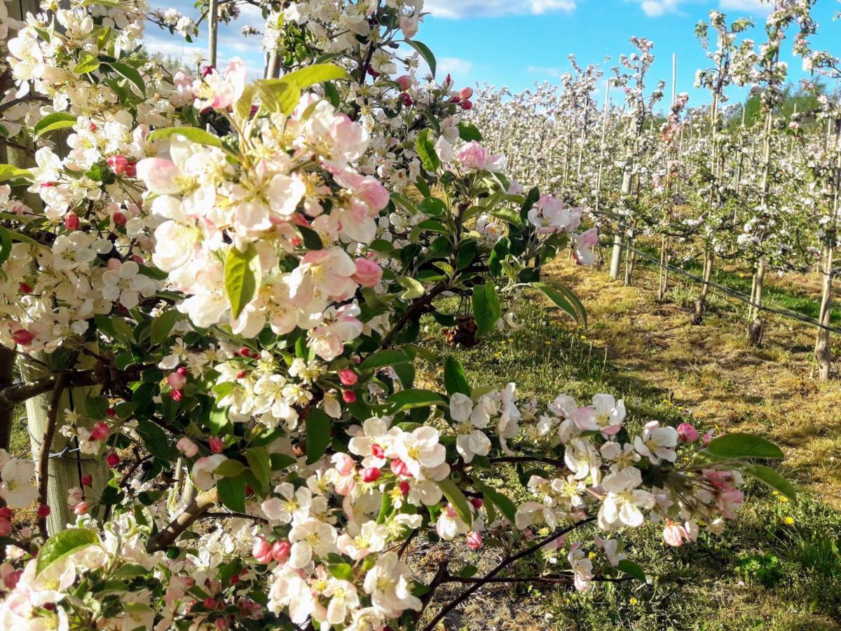 Broesarp Kaellagarden Stora Gardslaegenheten 外观 照片