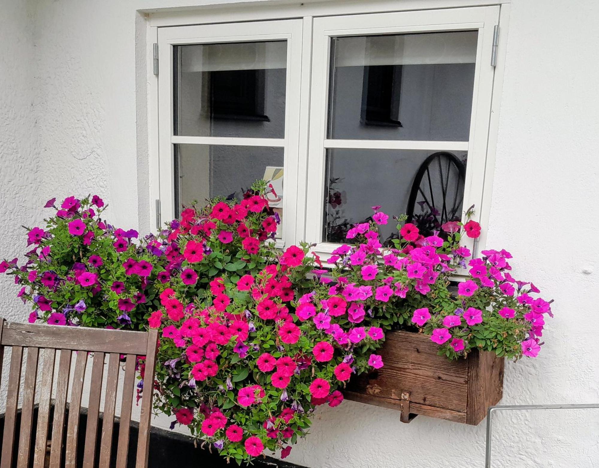Broesarp Kaellagarden Stora Gardslaegenheten 外观 照片